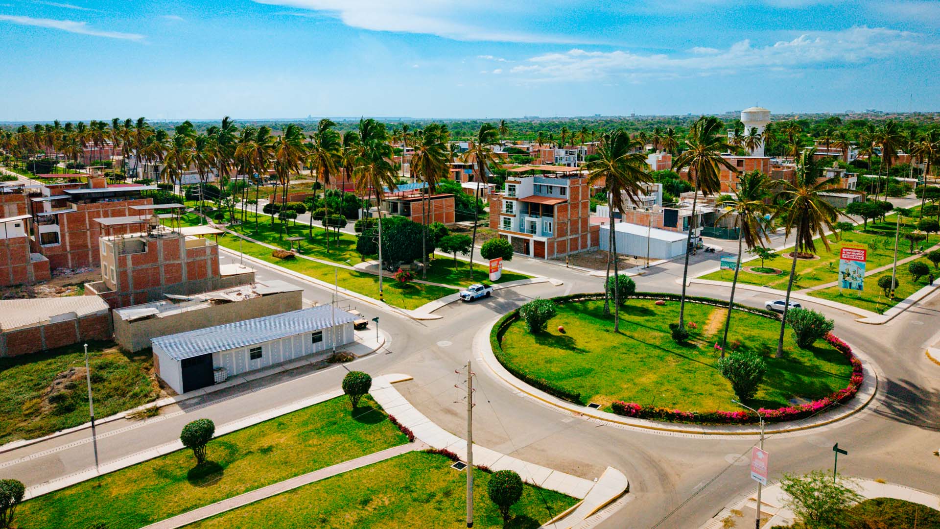 banner-las-palmeras-centenario